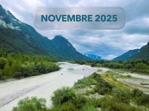 NOVEMBRE 2025